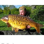 Profile Picture of Steve Briggs 🐟 (@briggsy_steve) on Instagram