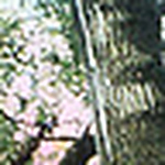 Profile Picture of Thomas Peterson (@TEPdesigns) on Flickr