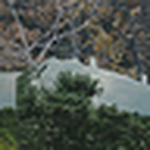 Profile Picture of Banu Colak (@banu colak) on Flickr