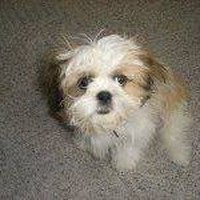 Profile Picture of Mar Ryan (@mar-ryan) on Quora