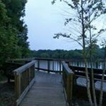 Profile Picture of Robin Gessner (@robingessner) on Instagram