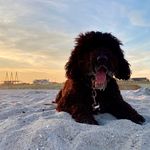 Profile Picture of Dixie-tide Duncan (@dixietide) on Instagram