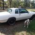 Profile Picture of Larry Oglesby (@larry.oglesby.5205) on Facebook