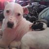Profile Picture of simon blake852 (@@simonblake09) on Tiktok