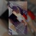 Profile Picture of Daviid Maiisonet (@daviid.maiisonet) on Facebook