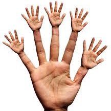 Profile Picture of Jose Vonsee-paap (@PaapJose) on Twitter