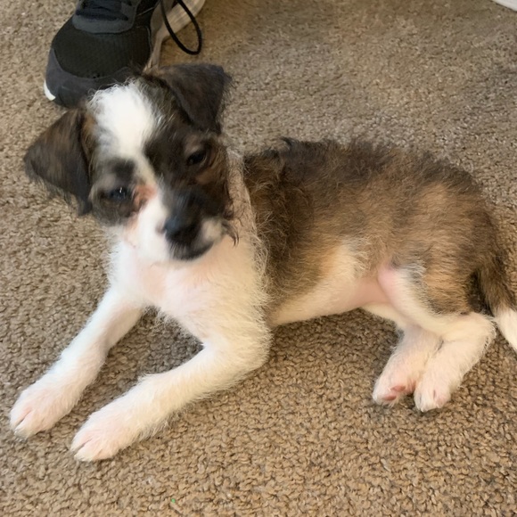 Gabriella Andrade - Poshmark Profile Picture of Gabriella Andrade (@andradeximena) on Poshmark