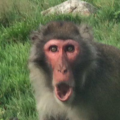 Profile Picture of Max Hampton (@maxiboy30) on Twitter