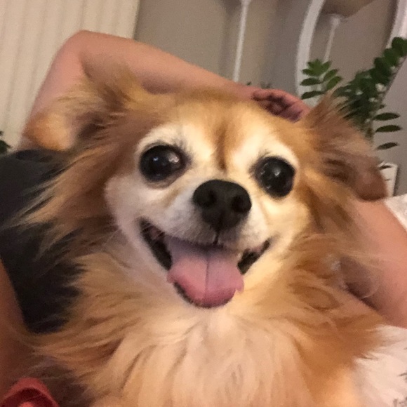 Profile Picture of Izzy Vigare (@izabellavigare) on Poshmark