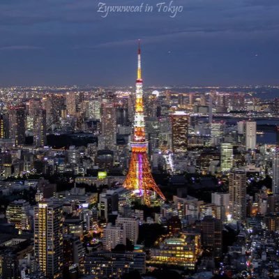 Profile Picture of Vicky Zeng (@Zywwwcat) on Twitter