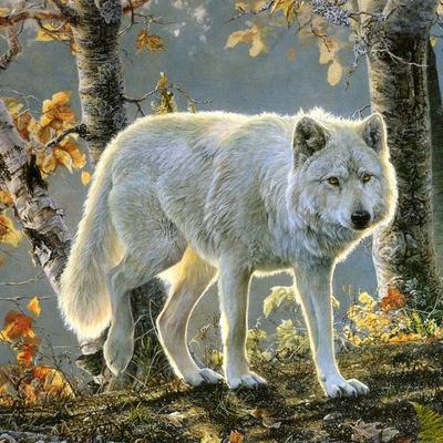 Profile Picture of Tim Fraker (@TimFraker) on Twitter