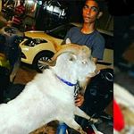 Profile Picture of @Anees shaikh 123786 (@anees_shaikh_123786) on Instagram