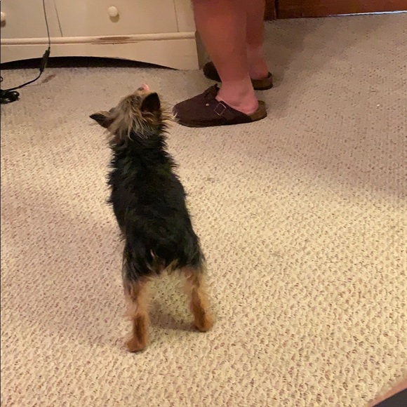 Profile Picture of Zander Stiverson (@zanderstiv) on Poshmark