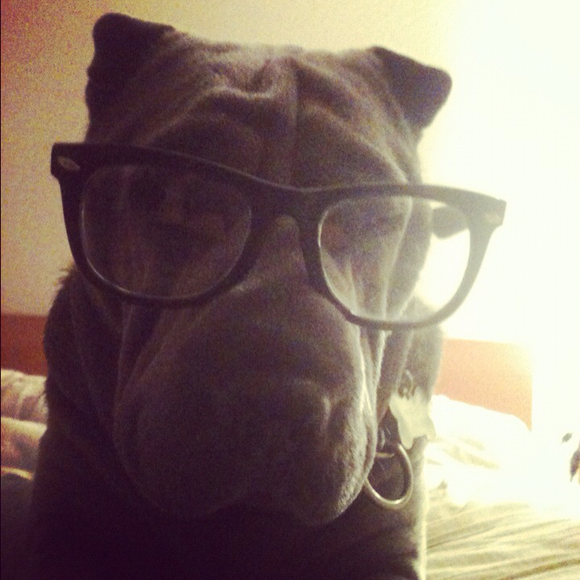 Profile Picture of Senna Imura (@sennai) on Poshmark