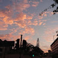 Profile Picture of Stella Yip (@stella-yip-6) on Quora
