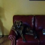 zach carver - Instagram Profile Picture of zach carver (@czp124) on Instagram