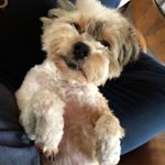 Profile Picture of Grant McArthur (@alookinsidegrant_dontlaugh) on Instagram