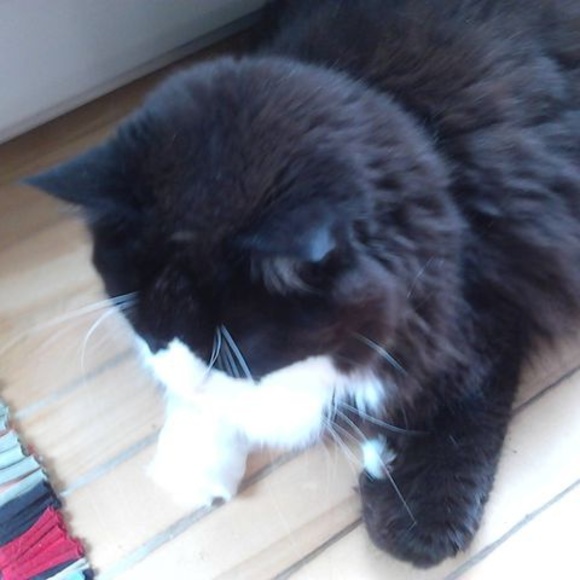 Profile Picture of Claudette Boudreault (@claudetteboudre) on Poshmark