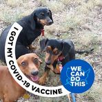 Profile Picture of John Cody Ackel (@cody.ackel.9) on Facebook