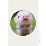Profile Picture of KellyCoburn (@cxcxcxcxkelcxcxcx) on Instagram