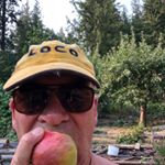 Profile Picture of Bob Jensen (@bobjensen4) on Instagram