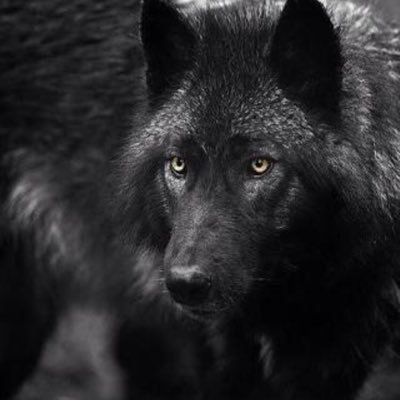 Profile Picture of Aaron Cousins (@cousins_aaron) on Twitter