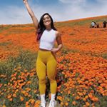 Profile Picture of Robert jane (@femia1252) on Instagram