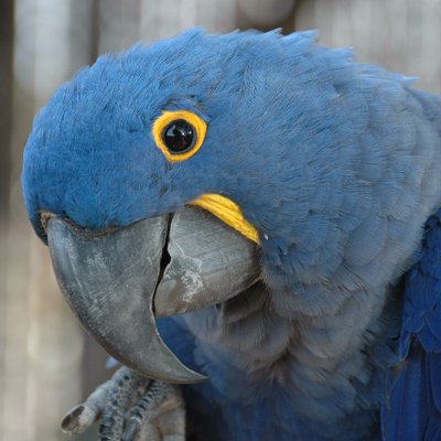 Profile Picture of Bryan McGuirk (@Ionictester011) on Twitter