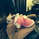 Profile Picture of Joanne O'Rourke (@thimberlina7) on Instagram