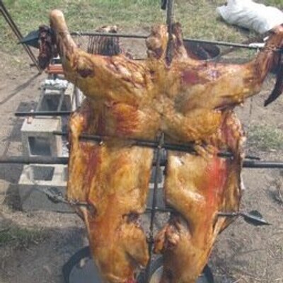 Profile Picture of Tamara Murphy (@Tamara_Murphy) on Twitter