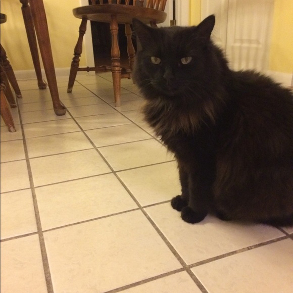 Katie Lapeer - Poshmark Profile Picture of Katie Lapeer (@solray) on Poshmark