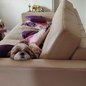 Profile Picture of Smitha Menon (@smithamenon08) on Youtube