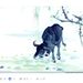 Profile Picture of Charlie Yeh (@charlie12070379) on Pinterest