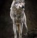 Profile Picture of John Debal (@john.debal.372) on Facebook