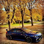 Profile Picture of Andrew Stout (@rushvibezzz) on Instagram