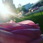 Profile Picture of hey ich bin Zoé 👌 (@zoe.hahn.123) on Instagram