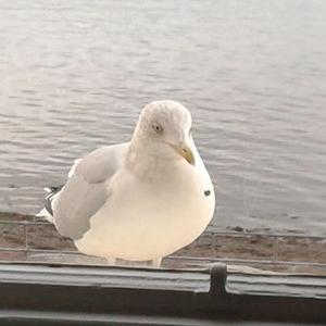 Profile Picture of Hannah Copp (@44c2e6fde1aa4d1) on Twitter