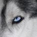 Profile Picture of John Baab (@john.baab.14) on Facebook