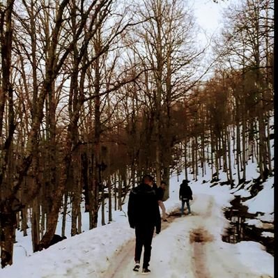 Profile Picture of Boudjemai (@ila21pr) on Twitter