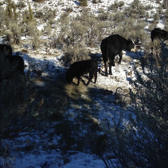 Heather Huffsmith - Poshmark Profile Picture of Heather Huffsmith (@hhuffsmith) on Poshmark