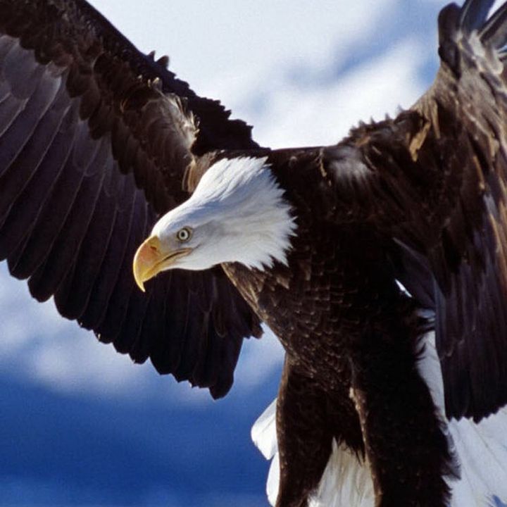 Profile Picture of JD Green (@jd.green) on Tiktok