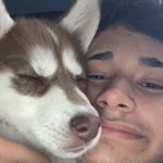 Profile Picture of Brandon Dziamara (@brandondziamara) on Instagram