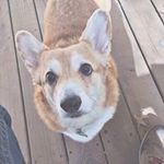 Profile Picture of Brenda Pease (@teacherbb57) on Instagram