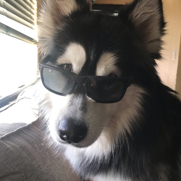 Profile Picture of Ariel Iovinelli (@ariel1008) on Poshmark