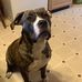 Profile Picture of Sherri Graves (@sherri.mccray.5) on Facebook