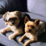 John Daley - Instagram Profile Picture of John Daley (@sushijohnny) on Instagram