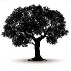 Profile Picture of Carl Mosby (@carl.mosby.313) on Facebook