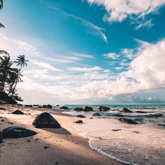 Profile Picture of Carloi Minore (@beachie2004) on Poshmark