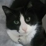 Profile Picture of Joanne Bates (@joanne.bates.7) on Instagram