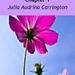 Profile Picture of Julia Carrington (@juliacarrington) on Pinterest